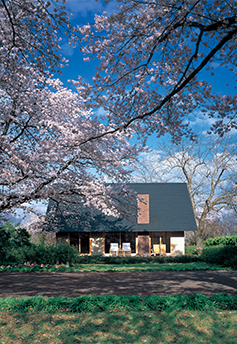 桜と家